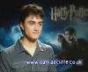 potterish_60minutos_TV_04801.jpg