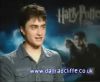 potterish_60minutos_TV_04849.jpg