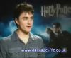 potterish_60minutos_TV_04861.jpg
