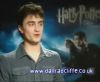 potterish_60minutos_TV_04897.jpg