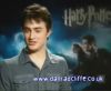 potterish_60minutos_TV_04932.jpg