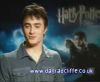 potterish_60minutos_TV_04945.jpg