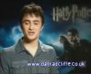 potterish_60minutos_TV_04956.jpg