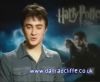 potterish_60minutos_TV_04965.jpg