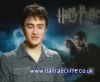 potterish_60minutos_TV_04970.jpg
