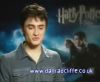 potterish_60minutos_TV_04985.jpg