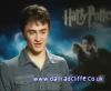 potterish_60minutos_TV_05036.jpg
