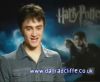 potterish_60minutos_TV_05044.jpg