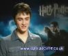 potterish_60minutos_TV_05057.jpg