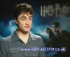 potterish_60minutos_TV_05101.jpg