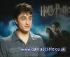 potterish_60minutos_TV_05107.jpg