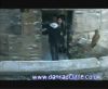 potterish_60minutos_TV_05321.jpg