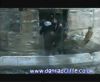 potterish_60minutos_TV_05329.jpg