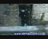 potterish_60minutos_TV_05331.jpg