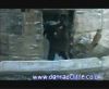 potterish_60minutos_TV_05335.jpg