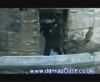 potterish_60minutos_TV_05336.jpg