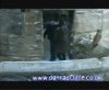 potterish_60minutos_TV_05340.jpg
