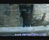 potterish_60minutos_TV_05342.jpg