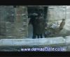 potterish_60minutos_TV_05343.jpg