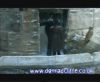 potterish_60minutos_TV_05346.jpg