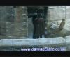 potterish_60minutos_TV_05347.jpg