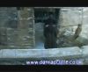 potterish_60minutos_TV_05362.jpg