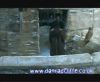 potterish_60minutos_TV_05367.jpg