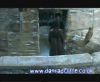 potterish_60minutos_TV_05369.jpg