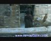 potterish_60minutos_TV_05371.jpg