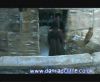 potterish_60minutos_TV_05372.jpg