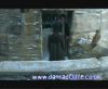 potterish_60minutos_TV_05377.jpg