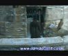 potterish_60minutos_TV_05378.jpg