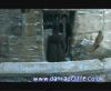 potterish_60minutos_TV_05383.jpg