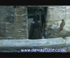 potterish_60minutos_TV_05390.jpg