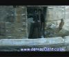 potterish_60minutos_TV_05392.jpg