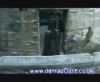 potterish_60minutos_TV_05393.jpg