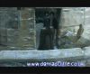 potterish_60minutos_TV_05396.jpg