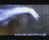 potterish_60minutos_TV_05712.jpg