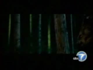 potterish_tv_entrevista_KABC_dan_odf__141.jpg potterish_tv_entrevista_KABC_dan_odf__141.jpg