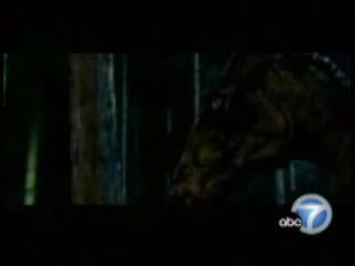 potterish_tv_entrevista_KABC_dan_odf__1_5.jpg