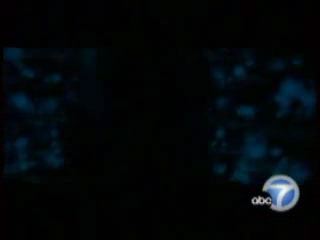 potterish_tv_entrevista_KABC_dan_odf__414.jpg