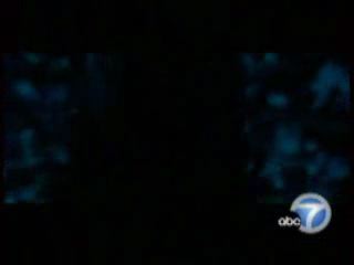 potterish_tv_entrevista_KABC_dan_odf__415.jpg