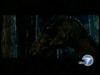 potterish_tv_entrevista_KABC_dan_odf__1_0.jpg