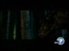 potterish_tv_entrevista_KABC_dan_odf__1_7.jpg