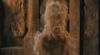 supernatural_odf_potterish__015.jpg