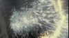 supernatural_odf_potterish__051.jpg