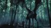 supernatural_odf_potterish__087.jpg