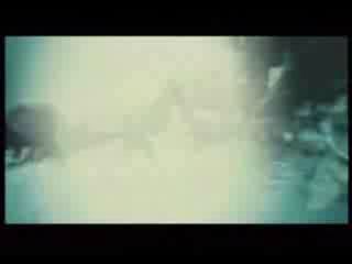 potterish_channel5_tv__108.jpg