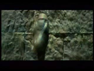 potterish_channel5_tv___24.jpg