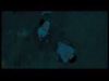 potterish_channel5_tv__068.jpg